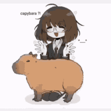 coconut capybara