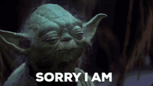 Sorry Hayden GIF - Sorry Hayden Addi GIFs