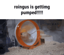 exercise pumped running wheel roingus