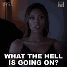 What The Hell Is Going On Lilly Winthrop GIF - What The Hell Is Going On Lilly Winthrop The Oval GIFs