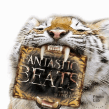 opeaamusic fantastic beats tiger