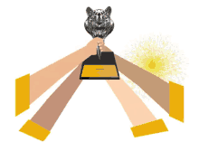 golf champions