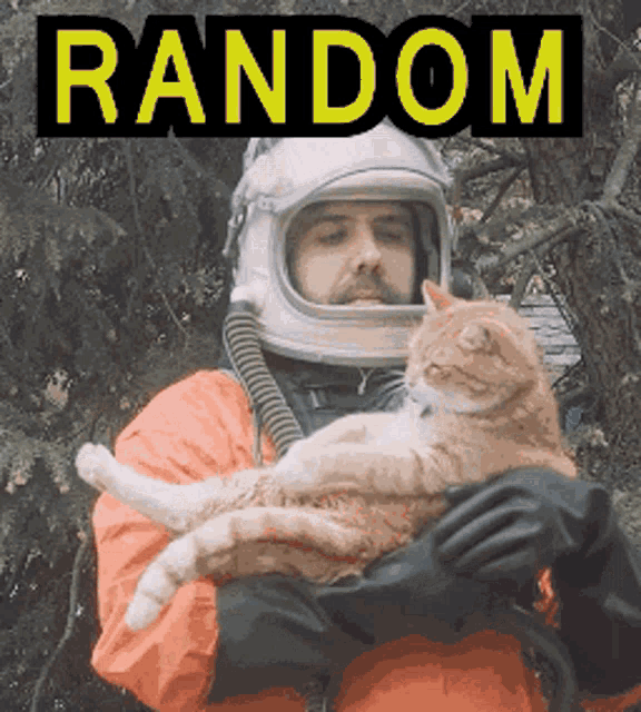 Random GIF - Random GIFs