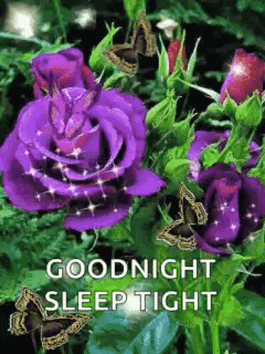 Goodnight Sparkles GIF - Goodnight Sparkles Flowers - Discover & Share GIFs