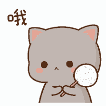 lollipop cat
