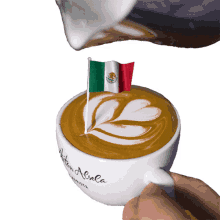Mexico United Mexican States GIF - Mexico United Mexican States Mexico City GIFs