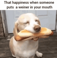 weiner your