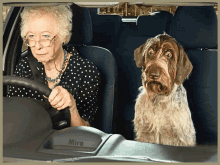 Lol Old Lady GIF - Lol Old Lady Driving GIFs