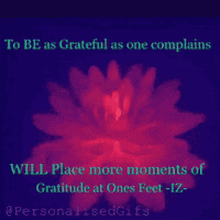 iz gratitude iz gratitude