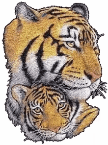tiger