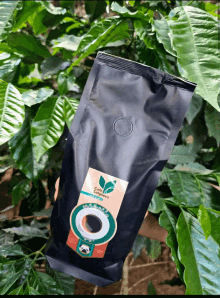 cafe salguero product organic