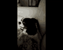 Igor Puppy GIF - Igor Puppy Dog GIFs