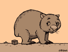 Vombat Wombats GIF - Vombat Wombats Smile GIFs