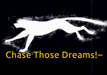 Keep Chasing Your Dreams Run GIF - Keep Chasing Your Dreams Run Leopard GIFs