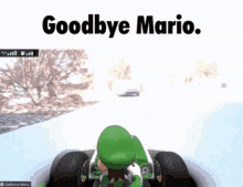 Mario Luigi GIF - Mario Luigi Mario Kart GIFs