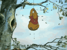 Pooh Rain GIF - Pooh Rain Winnie GIFs
