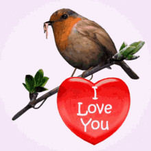 I Love You Robin GIF - I Love You Love Robin GIFs