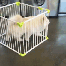 Dog Canine GIF - Dog Canine Cage GIFs