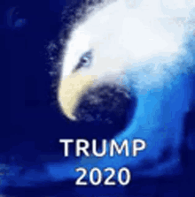 Trump2020 Eagle GIF - Trump2020 Eagle Us Elections GIFs