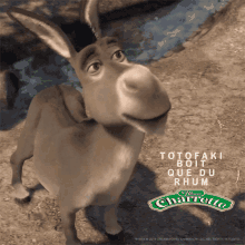 Totofaki Donkey GIF - Totofaki Donkey Shrek GIFs