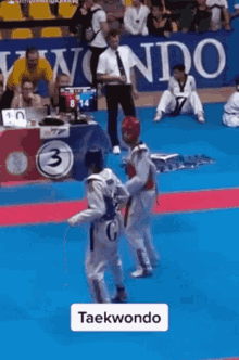 Taekwondo Merabshukakidze GIF - Taekwondo Merabshukakidze Merab GIFs