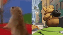 dog hammond