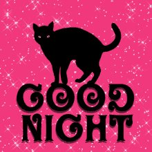 Good Night Pink GIF - Good Night Pink Black Cat GIFs