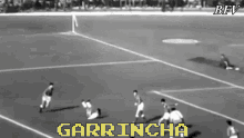 Garrincha Brazil GIF - Garrincha Brazil Top Corner GIFs