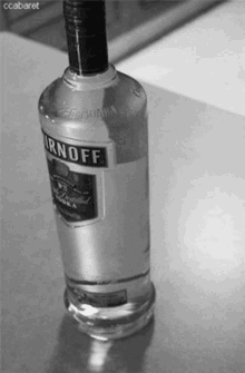 Wodka GIF - Wodka GIFs