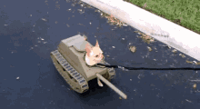 Dog Tank GIF - Dog Tank Pup GIFs