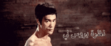 نظرة بروس لي كونغ فو GIF - Bruce Lee Look Kung Fu GIFs