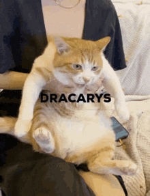 Dracrys Cat GIF - Dracrys Cat Meow GIFs