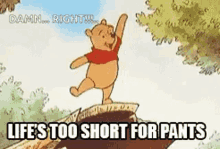 Winnie The Pooh Damn Right GIF - Winnie The Pooh Damn Right Lifes Too Short For Pants GIFs