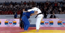 judo art