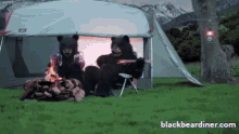bears black bear diner bear camping outdoors