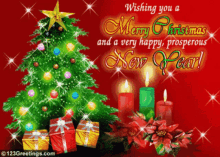 Christmas Tree Ecard GIF - Christmas Tree Ecard GIFs