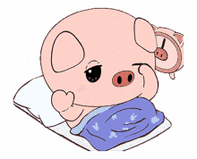 pig wake awake cute bed