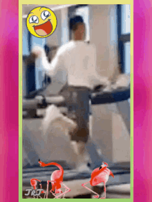 Treadmill Running GIF - Treadmill Running Exercise GIFs