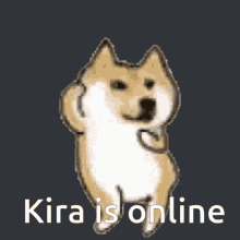 Kira Kinoplex Kira Online GIF - Kira Kinoplex Kinoplex Kira Online GIFs