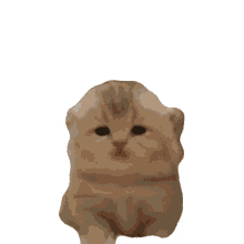 cute deborkader