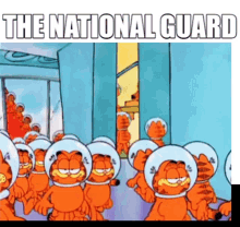 Garfield National Guard GIF - Garfield National Guard Garfield National Guard GIFs