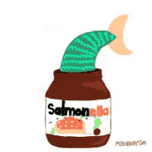 salmon fishy food lets eat salmonella