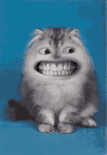 wth cute cat smiling