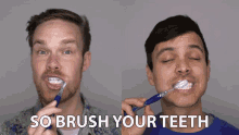 so brush your teeth gregory brown mitchell moffit asapscience clean your teeth