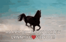 Horse Happy Birthday GIF - Horse Happy Birthday GIFs