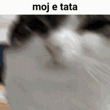 Tata GIF - Tata GIFs