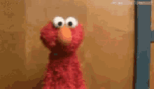Elmo Shrug GIFs | Tenor