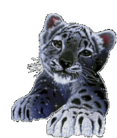 Tiger Cub Sparkles Sticker - Tiger Cub Sparkles Glittery Stickers