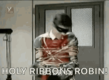 Robin Tied Up GIF - Robin Tied Up Tie Up GIFs