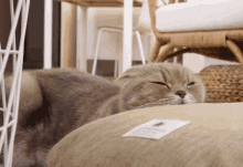 Sleepy Cat Cat Sleeping GIF - Sleepy Cat Cat Sleeping Surinoel GIFs